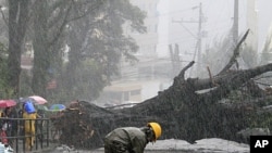 A worker inspects damaged electrical post as Typhoon Nanmadol uprooted big trees in Baguio City, north of Manila, Philippines, August 27, 2011