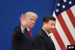 Donald Tramp və Şi Tsinpin