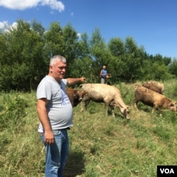 Farmer Zoran Petrov. (Photo: L. Ramirez / VOA)