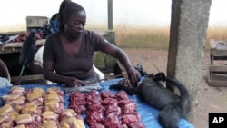 Poachers sell their produce at bush markets like this one in Gabon, where the trader is displaying bush pigs, duikers, and monkeys for sale (December 2007 file photo)