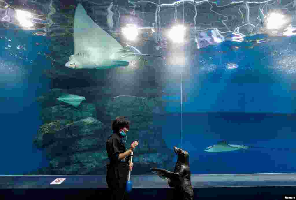 A female seal Shakitto and the aquarium keeper Manami Suka stand together at the Aqua Park Shinagawa, which is closed to the public amid the coronavirus disease (COVID-19) outbreak, in Tokyo, Japan.