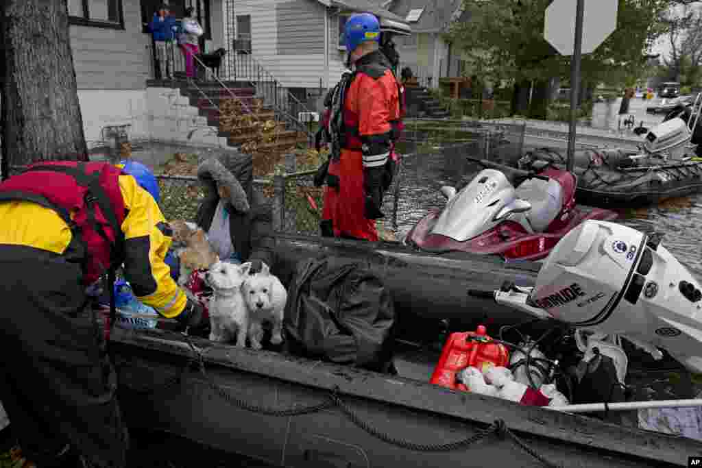 Bomberos rescatan a mascotas en Nueva Jersey.