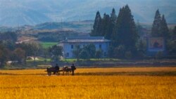 북한, 식량난 해결 위해 농업 발전 총력