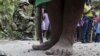 10 muertos en matanza de campesinos en Colombia