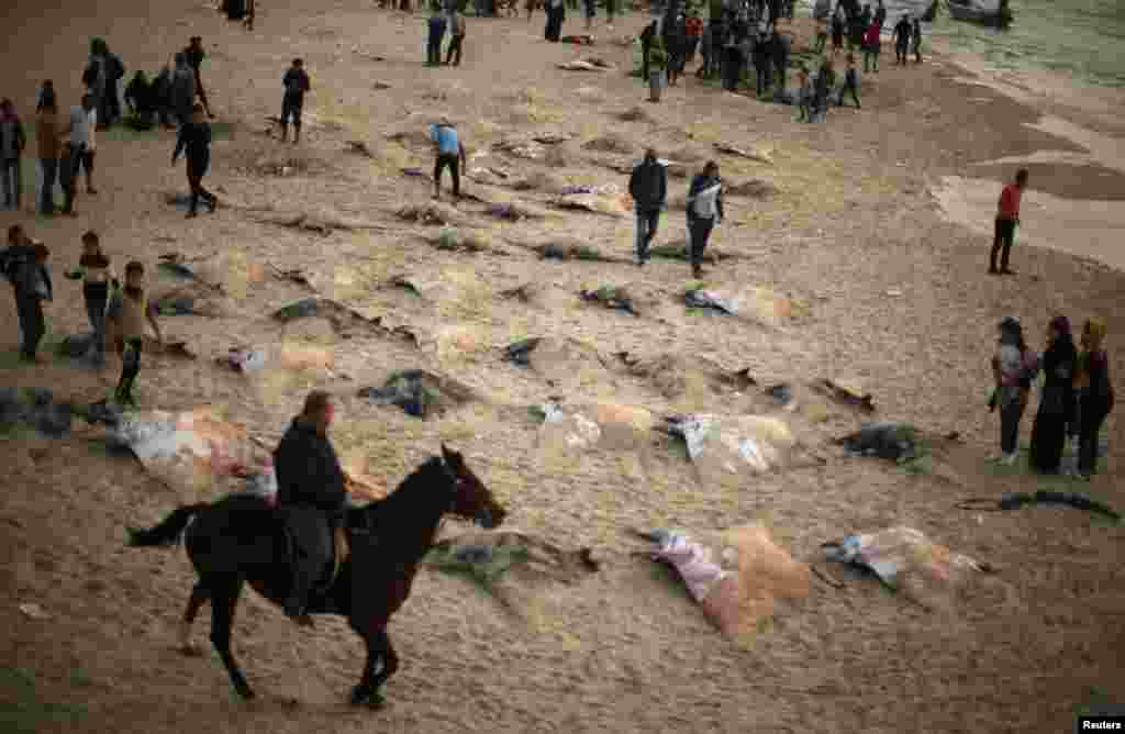 Warga Palestina mengamati ikan gurita yang mati terdampar di pantai di kota Gaza.