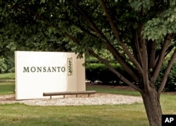 FILE - This June 29, 2006, file photo shows a sign at the Monsanto Co. headquarters in St. Louis