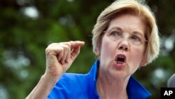 Sen. Elizabeth Warren, D-Mass., speaks in a park in Berryville, Va., where Congressional Democrats unveiled their new agenda, July 24, 2017.