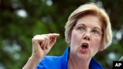 Sen. Elizabeth Warren, D-Mass., speaks in a park in Berryville, Va., where Congressional Democrats unveiled their new agenda, July 24, 2017. 