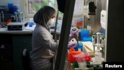 Seorang petugas laboratorium sedang menyiapkan medium untuk menumbuhkan virus di laboratorium Lembaga Biologi Molekuler Eijkman di Jakarta, 31 Agustus 2016. (Foto: Reuters)
