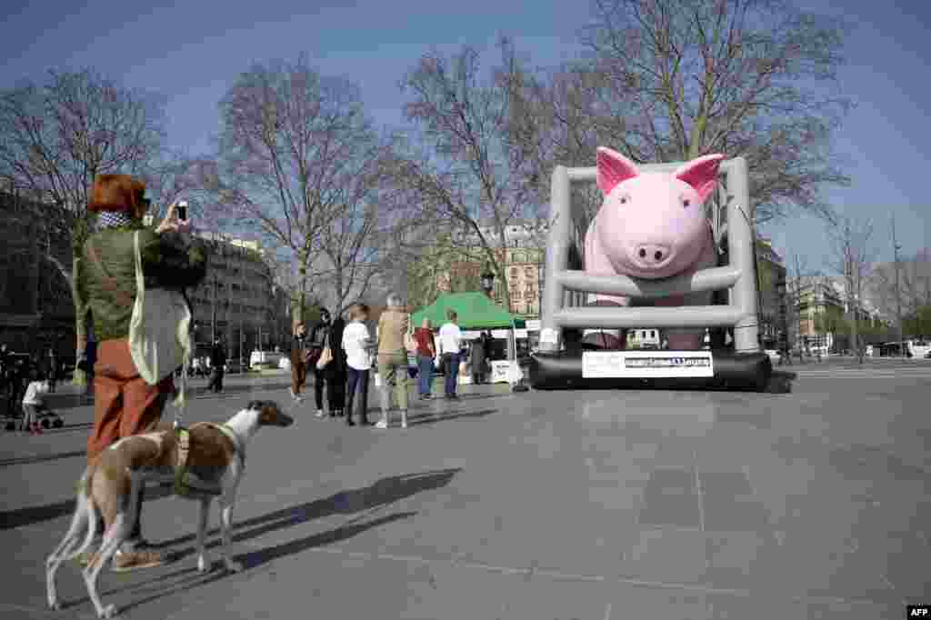 People look at an inflatable pig on display on Republic Square in Paris to protest against pig farming conditions.