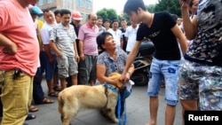 An animal activist kneels down as she offers to buy a dog from a vendor, second right, to stop it from being eaten ahead of the annual dog meat festival in Yulin, Guangxi Zhuang Autonomous Region, June 20, 2014. 