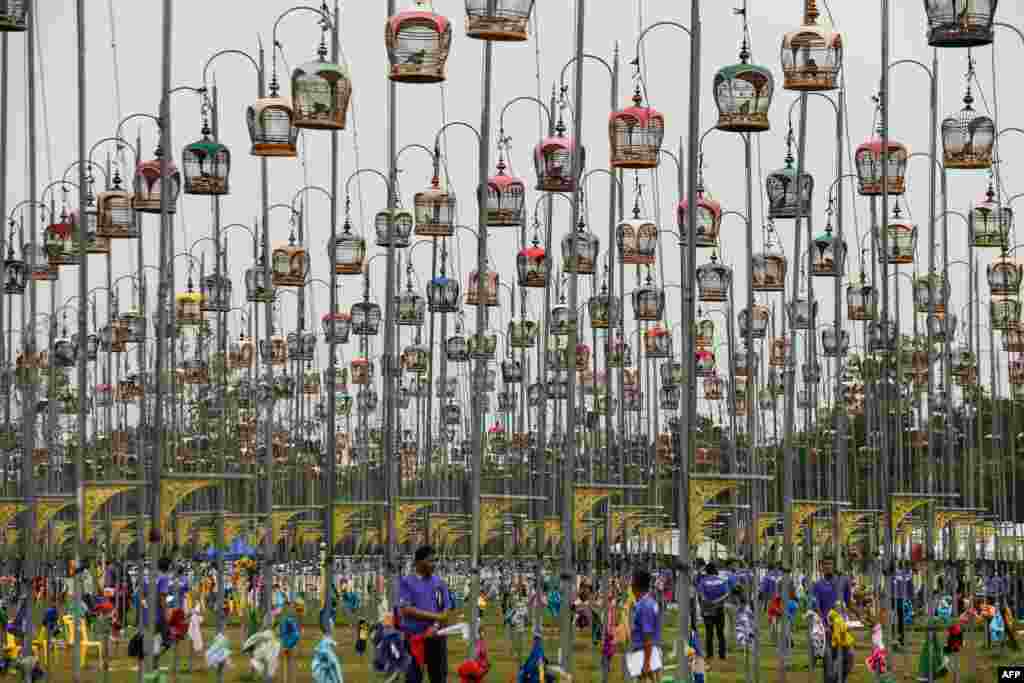 Birds sit in their cages during the annual bird-singing competition in Thailand&#39;s southern province of Narathiwat.