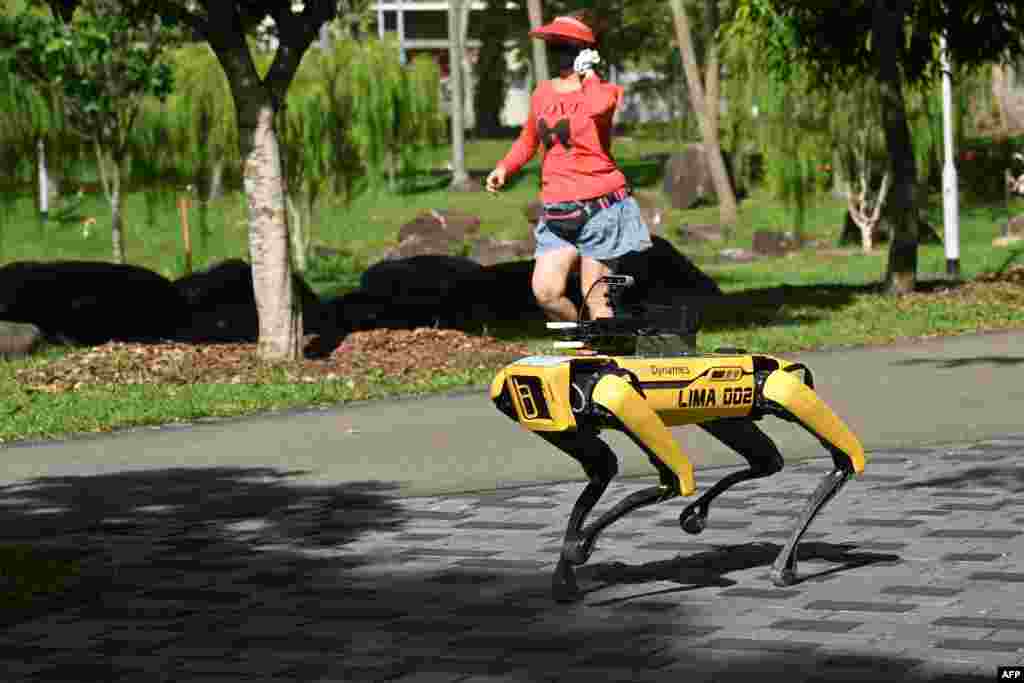 A woman jogs past a four-legged robot called Spot, which broadcasts a recorded message reminding people to observe safe distancing as a preventive measure against the spread of the COVID-19 novel coronavirus, in Singapore.