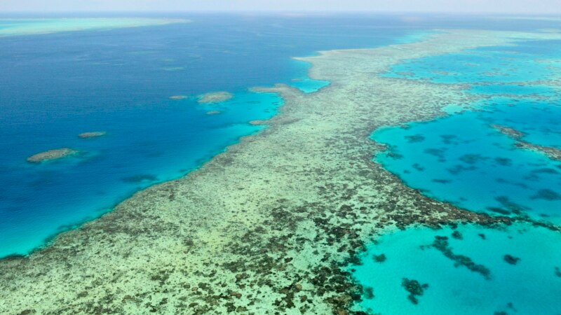 Australia Protests UN Plan to List Great Barrier Reef as ‘In Danger’
