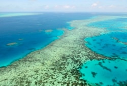 FILE - This aerial photo shows the Great Barrier Reef in Australia, Dec. 2, 2017. It has suffered extensive damage due to pollution and climate change. (AP via Kyodo News)