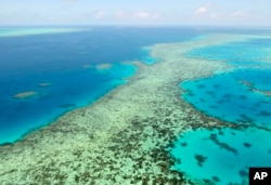 Great Barrier Reef di Australia, 2 Desember 2017. (Kyodo News via AP)