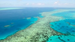 澳大利亞大堡礁或被列為瀕危遺產 背後可有中國使壞？