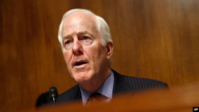 资料照：共和党联邦参议员约翰·科宁（Sen. John Cornyn, R-TX）2019年5月8日出席参议院司法委员会听证会。