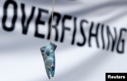 FILE - The head of a model fish is seen hanging in front a banner during a protest against overfishing outside the European Union Council in Brussels, May 13, 2013.