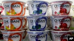 FILE - Cups of Chobani Yogurt sit on the shelf at Chobani Greek Yogurt in South Edmeston, N.Y.