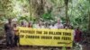 Greenpeace tire la sonnette d'alarme sur les incendies dans le bassin du Congo