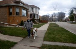 Janine Blezien mengajak anjingnya, Kasey dan Gordy, jalan-jalan di Elmwood Park, Illinois, Rabu, 24 Maret 2021. (Foto: AP)