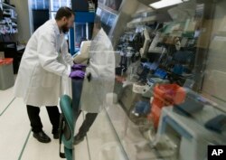 FILE - Biologist Jason Plyler prepares to test how immune cells react to possible flu vaccines at the Vaccine Research Center at the National Institutes of Health in Bethesda, Md., Dec. 19, 2017.