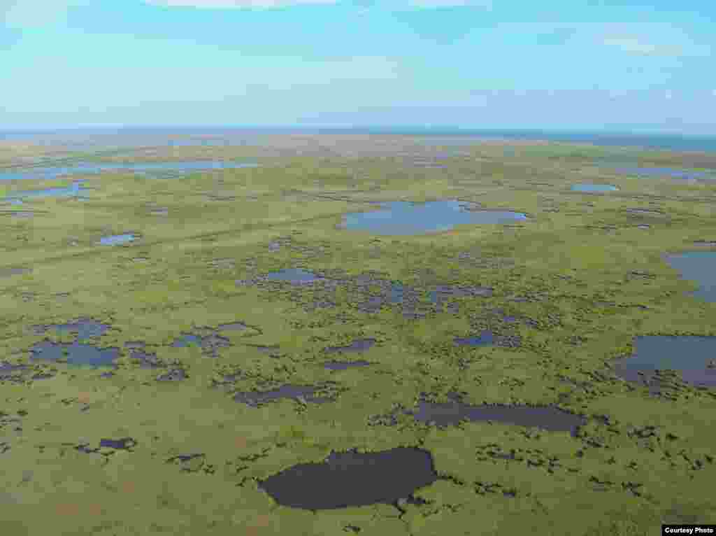 These subsiding marshes in the Mississippi River Delta are important habitat for wildlife and serve as protective buffers against storms and hurricanes. (K. L. McKee/USGS) 