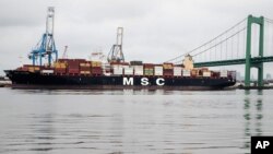 Tàu MSC Gayane đậu tại cảng Packer Marine Terminal ở Philadelphia hôm 19/6. Quan chức Mỹ thu giữ cocaine trị giá hơn 1 tỷ USC từ 7 container chất trên tàu này.
