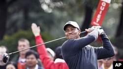 Tiger Woods of the US tees off the 1st hole during the Pro-Am event of the Shanghai HSBC Champions golf tournament, which begins Thursday, at the Sheshan International Golf Club in Shanghai, China, 3 Nov 2010