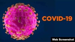 Koronavirus