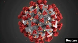 美國疾病預防與控制中心發布的新冠病毒結構圖。（2020年1月29日） 