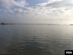 The Rappahannock Oyster Company is one of many success stories brought on by a decades-old program funded by the U.S. Environmental Protection Agency to improve water quality in the Chesapeake Bay. (J. Swicord/VOA)