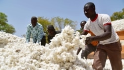 Falta de algodão suspende produção em fábrica de Benguela - 2:25