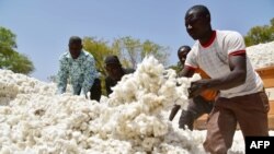 Des producteurs de coton à Boromo, Burkina Faso, 3 mars 2017.