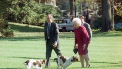 Президент Джордж Буш, перша леді Барбара Буш та їхні собаки Рейнджер і Міллі, 6 листопада 1990 року