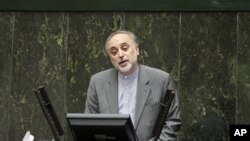 Foreign Minister of Iran Ali Akbar Salehi (file photo - January 30, 2011)