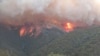 آتش سوزی جنگلی در منطقه ای از ایالت ویکتوریا، استرالیا - ۲ ژانویه ۲۰۲۰