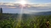 Petani Berharap Cukai Tembakau Mengalir ke Ladang