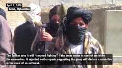 Afghan Taliban Say They'll Suspend Fighting in Their Areas if Coronavirus Hits