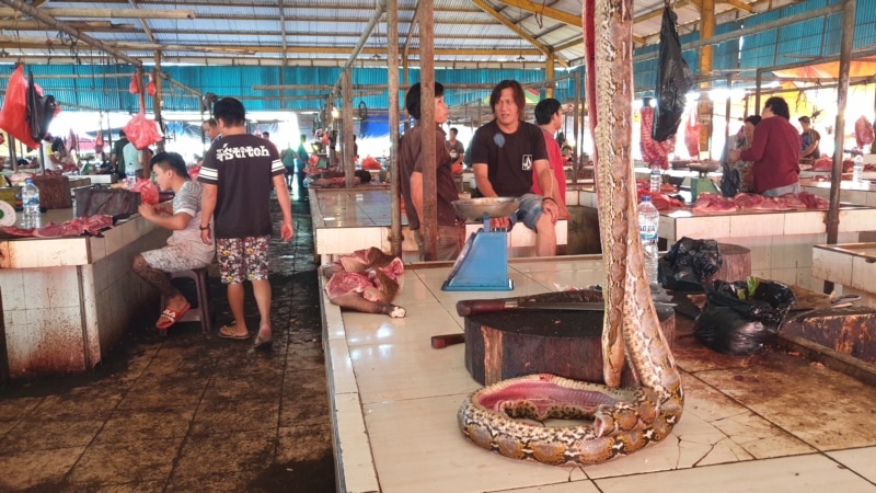 Pasar Hewan di Tomohon Setop Jual Daging Anjing dan Kucing
