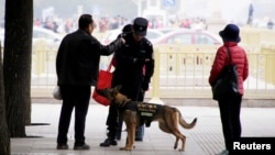 A police dog patrols next to Tiananmen Square on the first day of a plenary session of the 18th Central Committee of the Communist Party of China, in Beijing, China, Oct. 24, 2016.