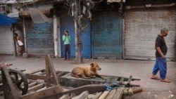 Radnik - nadničar prolazi pored pijace u starom delu Nju Delhija za vreme nacionalnih mera karantina zbog pandemije.
