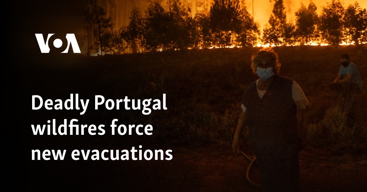 Wildfires in Portugal Kill Seven, Cause Evacuations