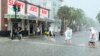 Тропический шторм «Эльза» обрушился на западное побережье Флориды