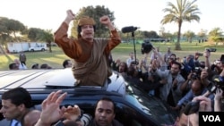 Lidè Libyen Muammar Gaddafi (LIBYA - Tags: POLITICS CIVIL UNREST)