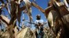 El Nino Leaves 28 Million Southern Africans Hungry