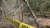 Mass Grave Found in Northern Mexico