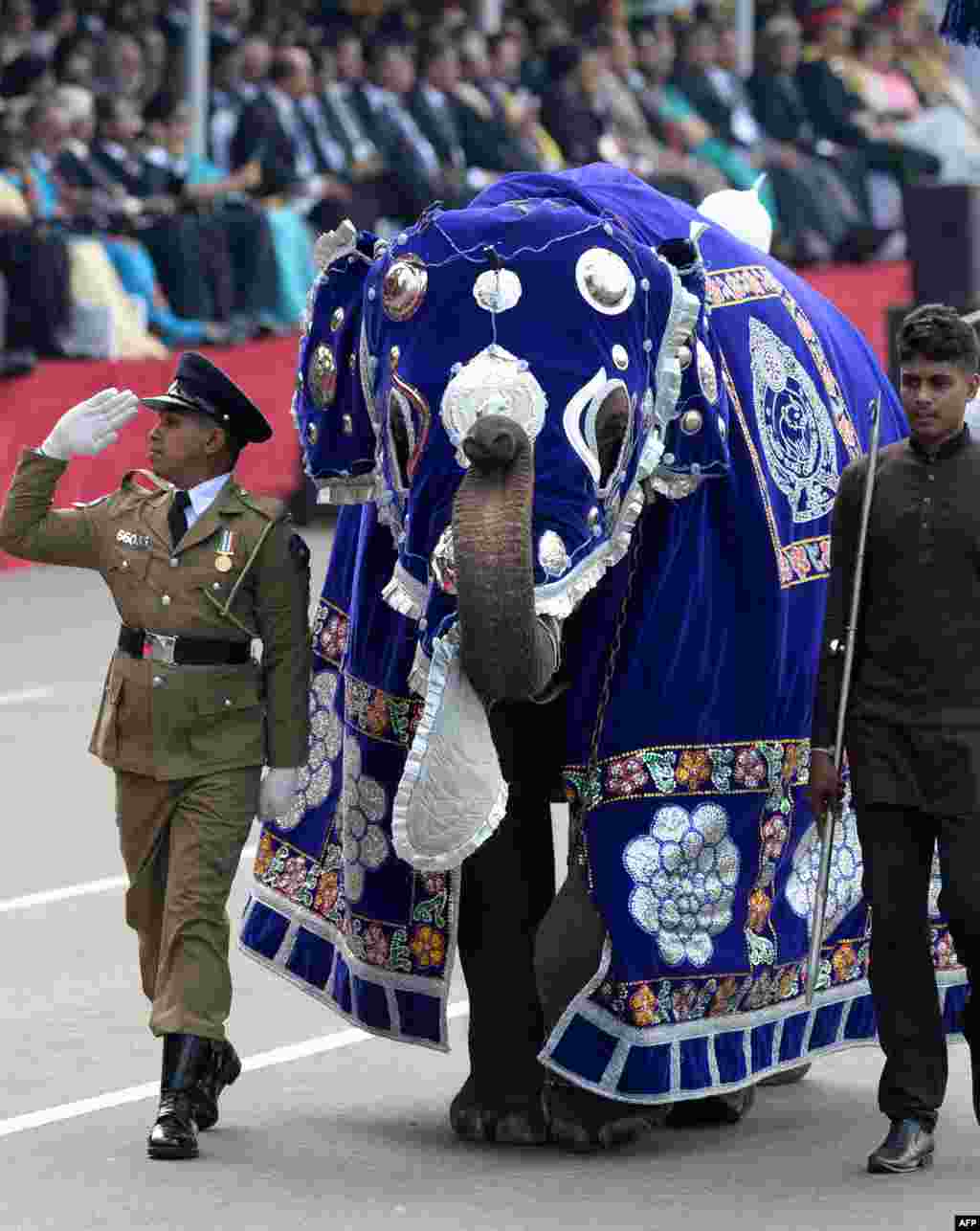 Sri Lankan military personnel march with a baby elephant during the island&#39;s 71st Independence Day celebrations in Colombo.