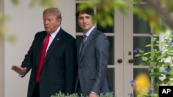 El presidente Donald Trump y el primer ministro canadiense, Justin Trudeau, caminan conversando en los pasillos exteriores de la Casa Blanca el miércoles 11 de octubre.